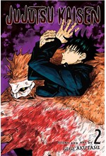 JUJUTSU KAISEN VOL.2