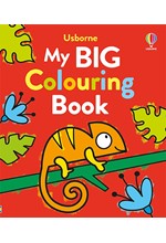 MY BIG COLOURING BOOK