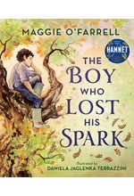 THE BOY WHO LOST HIS SPARK