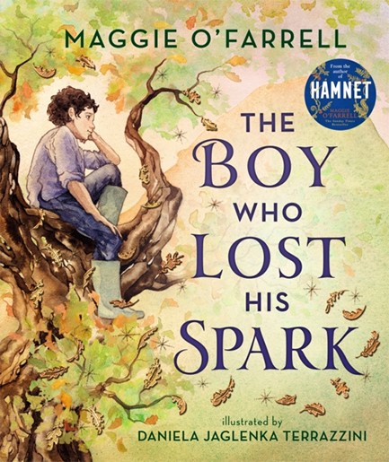 THE BOY WHO LOST HIS SPARK