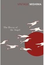 THE DECAY OF THE ANGEL