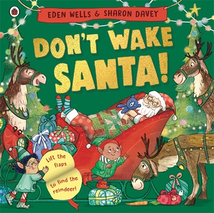 DON'T WAKE SANTA : A LIFT-THE-FLAP CHRISTMAS BOOK