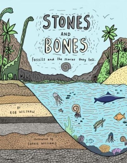 STONES AND BONES : FOSSILS AND THE STORIES THEY TELL