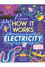 HOW IT WORKS-ELECTRICITY