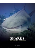 SHARKS AND UNDERWATER PREDATORS