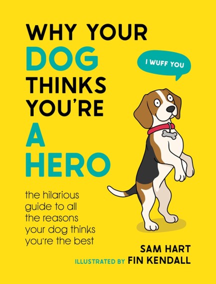 WHY YOUR DOG THINKS YOU'RE A HERO : THE HILARIOUS GUIDE TO ALL THE REASONS YOUR DOG THINKS YOU'RE TH