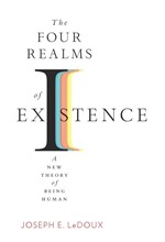 THE FOUR REALMS OF EXISTENCE : A NEW THEORY OF BEING HUMAN