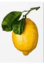 THE GOURMAND'S LEMON. A COLLECTION OF STORIES AND RECIPES