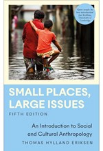 SMALL PLACES LARGE ISSUES PB