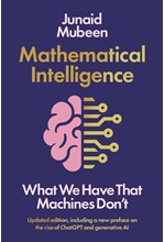 MATHEMATICAL INTELLIGENCE : WHAT WE HAVE THAT MACHINES DON'T