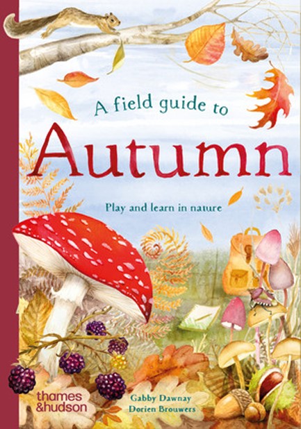 A FIELD GUIDE TO AUTUMN : PLAY AND LEARN IN NATURE