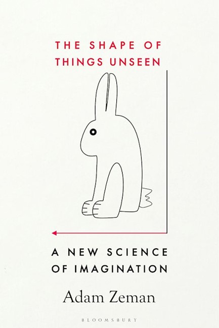 THE SHAPE OF THINGS UNSEEN : A NEW SCIENCE OF IMAGINATION