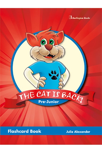 THE CAT IS BACK PRE-JUNIOR FLASHCARDS