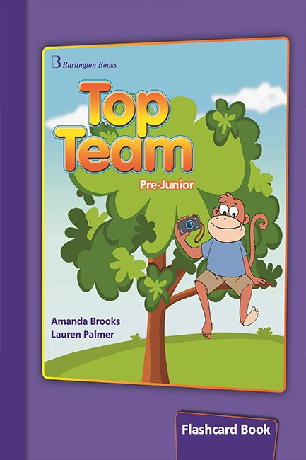 TOP TEAM PRE-JUNIOR FLASHCARDS