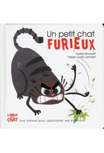 UN PETIT CHAT FURIEUX - LES EMOTIONS DE PETIT CHAT