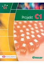 PROJEKT C1 10 MODELLTESTS GLOSSAR