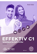 EFFEKTIV C1 GLOSSAR