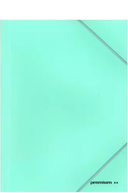 ΝΤΟΣΙΕ ΛΑΣΤΙΧΟ Α4 ΠΛΑΣΤΙΚΟ PASTEL GREEN