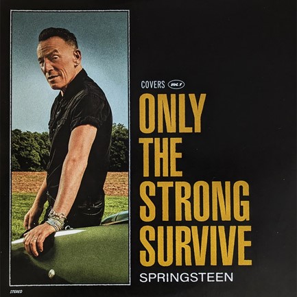 BRUCE SPRINGSTEEN - ONLY THE STRONG SURVIVE (2 LP)