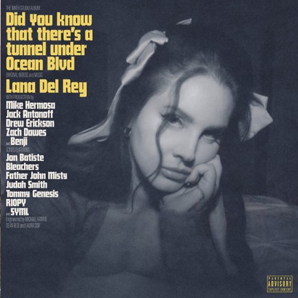 LANA DEL REY - DID YOU KNOW THAT THERE'S (2 LP)