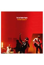 THE LAST SHADOW PUPPETS - THE DREAM SYNOPSIS