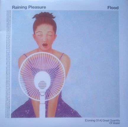 RAINING PLEASURE - FLOOD (2 LP)