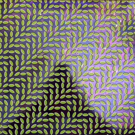 ANIMAL COLLECTIVE - MERRIWEATHER POST PAVILION [TRANSLUCENT GREEN AND BLUISH] (2 LP)