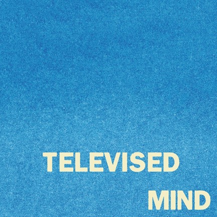 FONTAINES D.C. - TELEVISED MIND