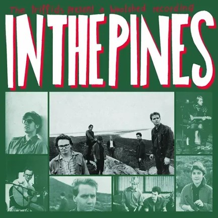 THE TRIFFIDS - IN THE PINES