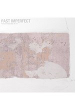 TINDERSTICKS - PAST IMPERFECT, THE BEST OF TINDERSTICKS ‘92 - 21’ (2 LP)