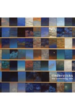 TINDERSTICKS - THE SOMETHING RAIN