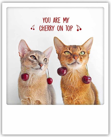 ΚΑΡΤΑ PICKMOTION ΜΟΝΗ YOU ARE MY CHERRY ON TOP-CATS