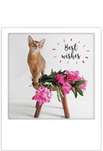 ΚΑΡΤΑ PICKMOTION ΜΟΝΗ BEST WISHES WITH CAT