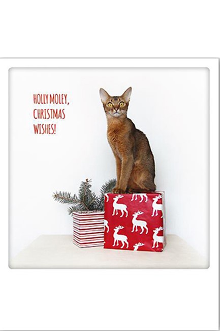 ΚΑΡΤΑ XMAS PICKMOTION ΜΟΝΗ HOLLY MOLEY CHRISTMAS WISHES