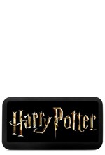 ΗΧΕΙΟ ΦΟΡΗTO RECHARGEABLE ERT BLUETOOTH  WSPHARRY021 HARRY POTTER 039 3W MICROSD-FM LOGO BLACK