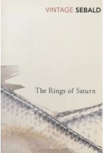 THE RINGS OF SATURN