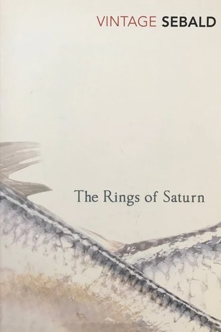 THE RINGS OF SATURN